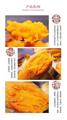 薯类种植全指南 从选种到收获的实用技术